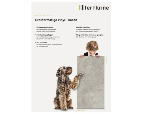 Placă de vinil de format mare cu dimensiunile 603,3 pe 1212,9 milimetri, prezentată de un câine și un copil.