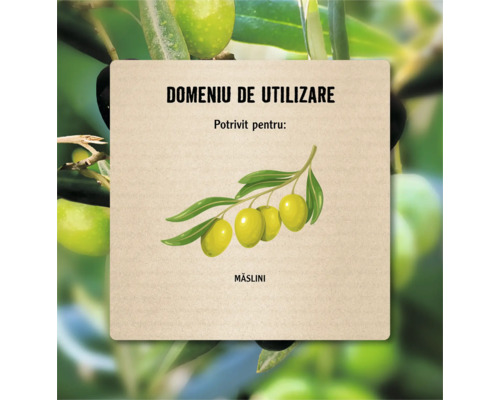 Domeniu de utilizare: Potrivit pentru măsline.