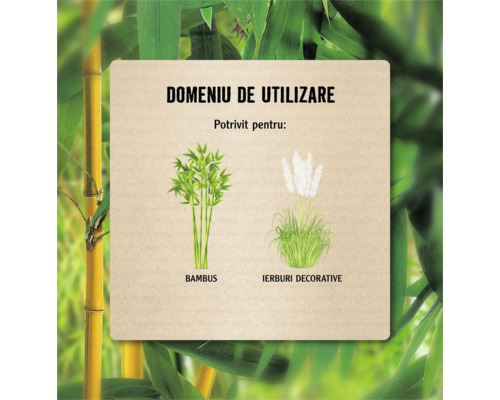 Domeniu de utilizare: Bambus și ierburi decorative
