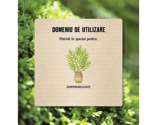 Domeniu de utilizare: Potrivit în special pentru plante sempervirescente.