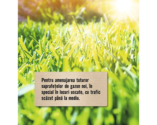 Prim-plan cu gazon pentru toate suprafețele de gazon noi, în special în locuri uscate, cu trafic scăzut până la mediu.