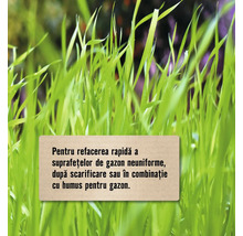 Prim-plan cu iarbă pentru repararea gazonului