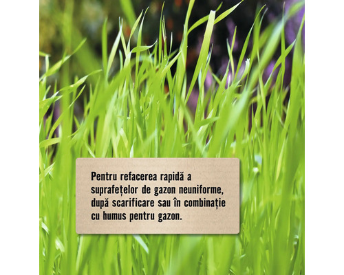 Prim-plan cu iarbă pentru repararea gazonului