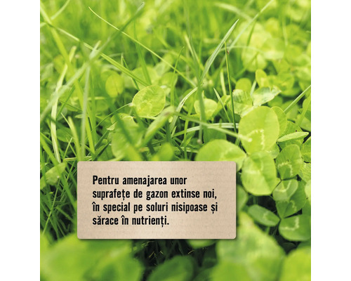 Prim-plan cu fir de iarbă cu informații textuale despre întreținerea gazonului