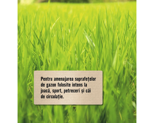 Prim-plan cu gazon pentru locuri de joacă, terenuri de sport, zone de petrecere și căi de acces