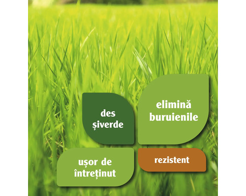 Imagine cu gazon și indicații despre caracteristicile produsului în română