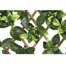Imitație gard viu/ paravan cu frunze Bambus Gardenia 90x180 cm verde