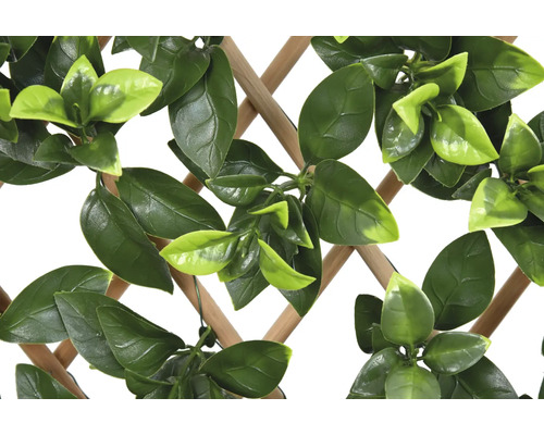 Grilaj decorativ cu frunze verzi