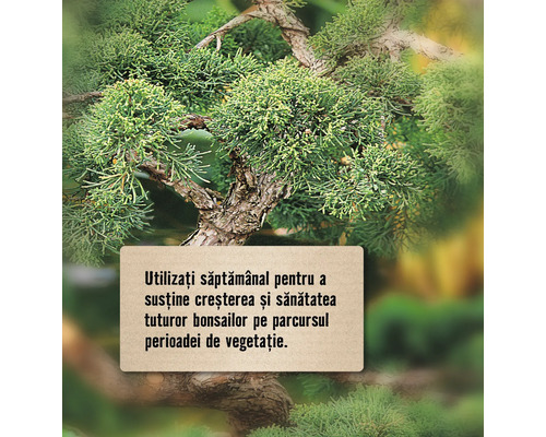 Prim-plan cu un bonsai, cu o notă despre utilizarea săptămânală pentru a susține creșterea și sănătatea în timpul sezonului de vegetație.