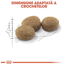 Crochete pentru pisici de dimensiuni adaptate