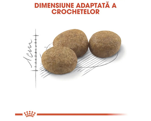 Crochete pentru pisici de dimensiuni adaptate