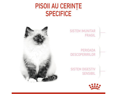 Hrană pentru pisoi cu cerințe specifice