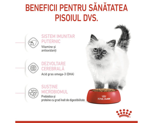 Hrană pentru pisoi cu informații despre beneficiile pentru sănătate