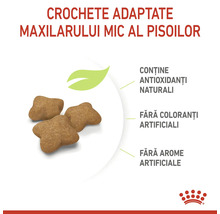 Hrana pentru pisici mici conține antioxidanți naturali, fără coloranți sau arome artificiale.