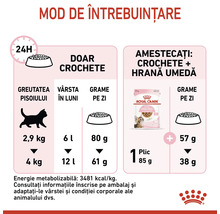Instrucțiuni de hrănire pentru hrana pentru pisici
