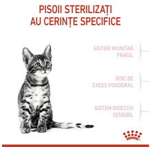 Imagine cu un pisoi sterilizat și informații despre cerințele sale specifice privind sistemul imunitar fragil, riscul de exces ponderal și sistemul digestiv sensibil.