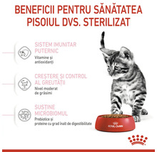 Imagine cu un pisoi lângă un castron cu mâncare uscată pentru pisici Royal Canin sterilizate, cu beneficii pentru sănătate precum sistem imunitar puternic, creștere și control al greutății și susținere a microbiomului.