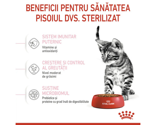 Imagine cu un pisoi lângă un castron cu mâncare uscată pentru pisici Royal Canin sterilizate, cu beneficii pentru sănătate precum sistem imunitar puternic, creștere și control al greutății și susținere a microbiomului.