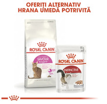 Hrană pentru pisici Royal Canin, hrană uscată și umedă pentru pisici mofturoase