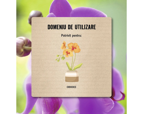 Domeniu de utilizare potrivit pentru orhidee