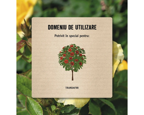 Simbol cu domeniu de utilizare pentru trandafiri