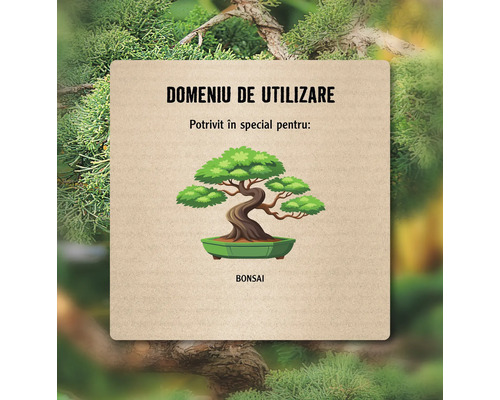 Domeniu de utilizare: Potrivit în special pentru bonsai