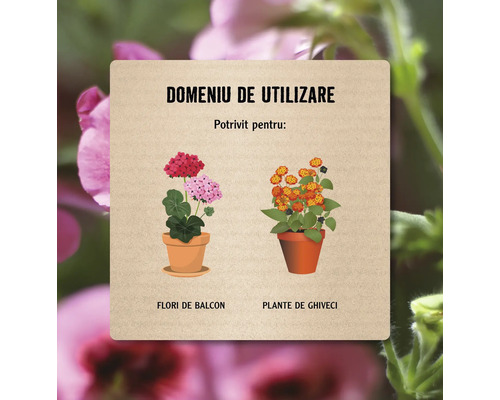 Domeniu de utilizare: Potrivit pentru flori de balcon și plante de ghiveci