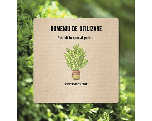 Domeniu de utilizare: Potrivit în special pentru plante sempervirescente