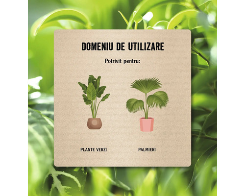 Domeniu de utilizare pentru plante verzi și palmieri