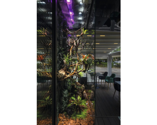 Interior cu terariu încorporat cu plante, ramuri, pietre și iluminat