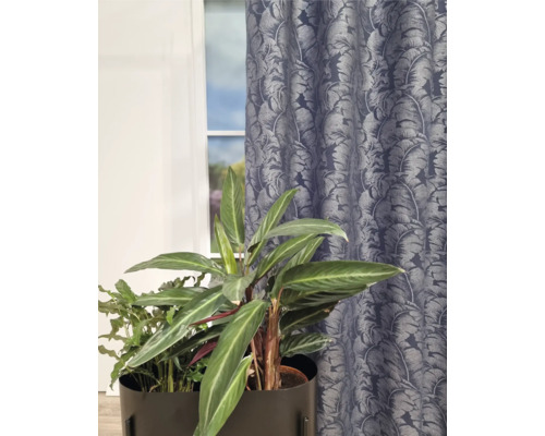 Plantă de interior decorativă în ghiveci în fața unei ferestre cu perdea