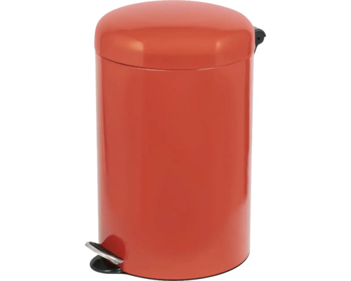 Coș de gunoi cu pedală din oțel