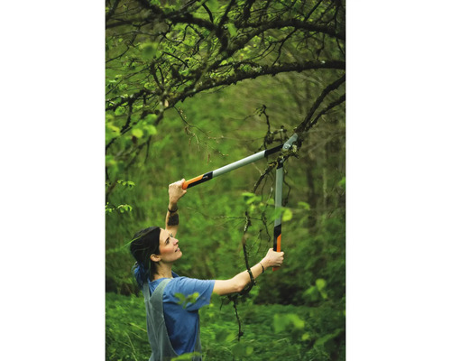 Femeie tăind ramuri cu unelte de tăiat crengi în grădină