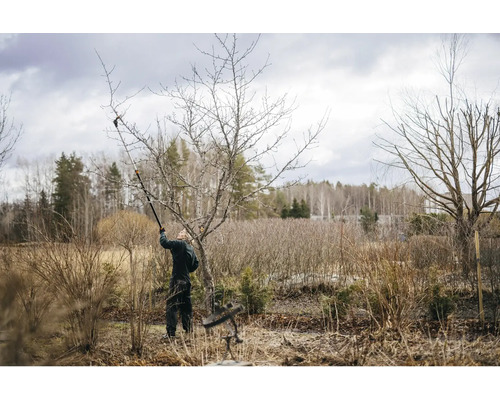 O persoană taie un copac cu un foarfece de grădină în grădină.
