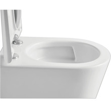 Vedere detaliată a unui WC suspendat cu capacul deschis.