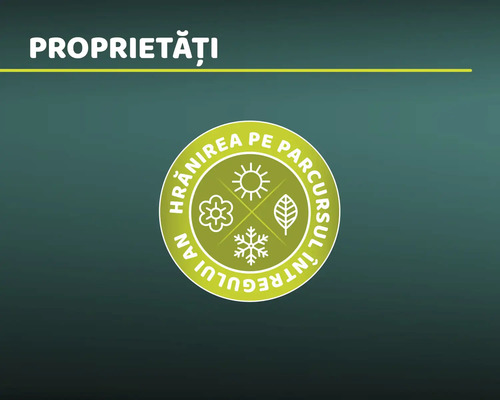 Alimentare cu nutrienți pe tot parcursul anului