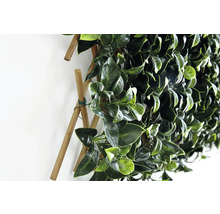 Imitație gard viu/ paravan cu frunze Bambus Gardenia 90x180 cm verde