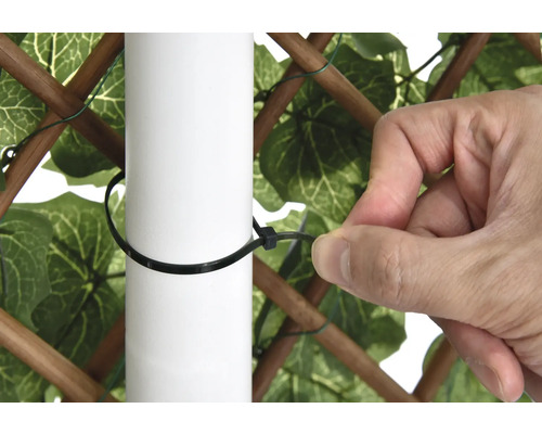 O persoană fixează un paravan de confidențialitate de un stâlp cu o legătură de cablu.