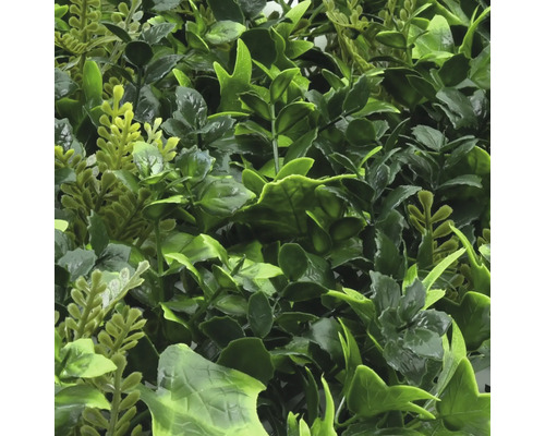 Perete artificial cu plante verzi pentru utilizare la interior și exterior.