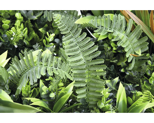 Prim-plan cu un perete vegetal artificial cu ferigi și plante verzi.