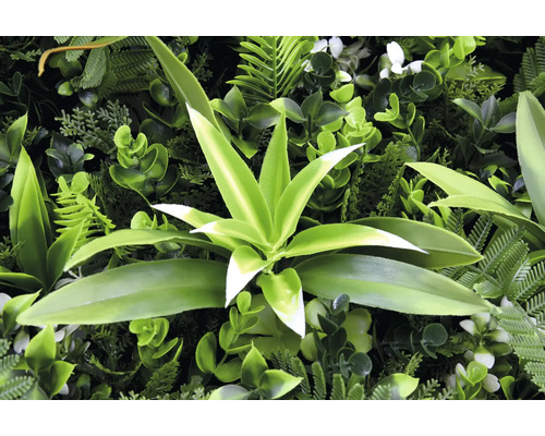 Perete artificial de plante cu diverse plante și frunze verzi