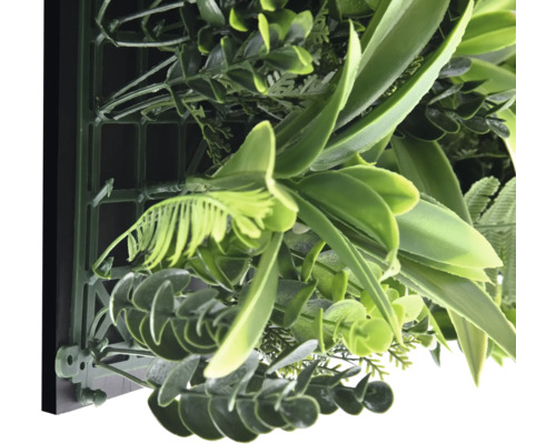 Detaliu al unui perete artificial de plante cu diverse frunze verzi