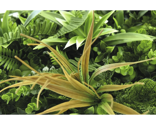 Prim-plan cu un perete artificial de plante cu diverse frunze verzi