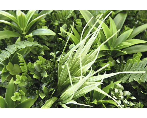 Prim-plan cu un perete vegetal artificial cu diverse plante verzi