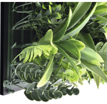 Prim-plan al unui perete vegetal artificial cu diverse frunze verzi
