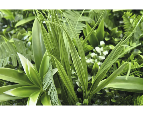 Perete artificial cu plante verzi cu frunze diferite