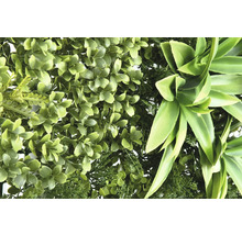 Perete artificial cu plante verzi, cu diferite structuri de frunze.