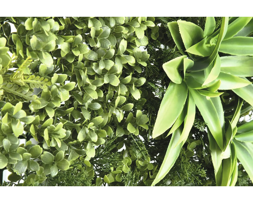 Perete artificial cu plante verzi, cu diferite structuri de frunze.