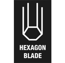 Simbol lamă hexagonală