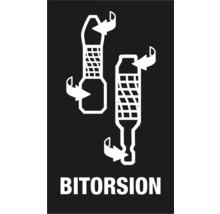 Simbol bitorsion